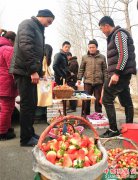 山东郯城： “莓”好生活给农民增色