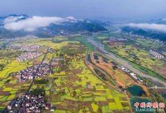 人民日报人民论坛：坚持农业农村优先发展总方针