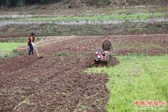 <b>四川广安“早”字当头备足各类农资</b>