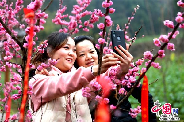 四川广元:柏林沟樱花盛开 数千游客前来