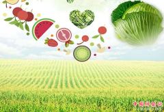 农产品上行，还要迈几道坎？