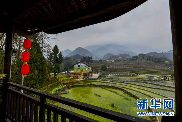 念好“山字经”吃好“生态饭”——重庆武隆乡村振兴观察