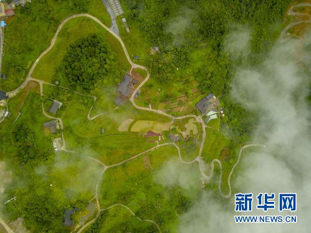 念好“山字经”吃好“生态饭”——重庆武隆乡村振兴观察