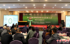 <b>成都“长生稻”今年将扩容至8000亩</b>