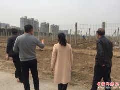 <b>陕西华州区莲花寺镇西寨村：发展葡萄种植 助推脱贫攻坚</b>