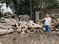 成都首例妨碍动植物防疫、检疫案宣判