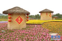 青海大通：奏响扶贫“大合唱” 全面完成脱贫指标