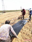 <b>陕西华州区莲花寺镇少华村：花椒产业园里春来忙</b>