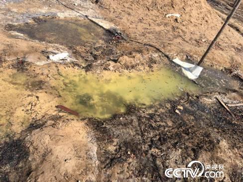 河北新乐“牛奶水”浇麦“绿茶水”浇树 官方介入调查