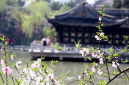 <b>2019年扬州瘦西湖万花会今天开幕</b>