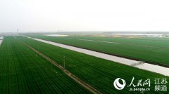 2018年江苏海门粮食生产全程机械化率超98%