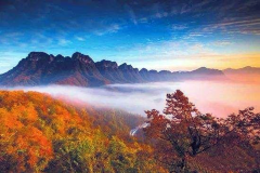 四川巴中南江县高塔镇：三举措夯实基层党建助力脱贫攻坚