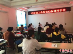 安徽：枣庄镇举办妇幼保健培训班