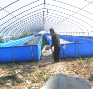 安徽：龙亢镇积极探索“合作社+贫困户”模式  助推脱贫攻坚