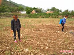 陕西华州区莲花寺镇龙潭村：贫困户群众为花椒产业园的花椒喷洒农药