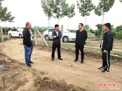 陕西华州区莲花寺镇时堡村：一期扶贫产业见实效  二期工程正在施工