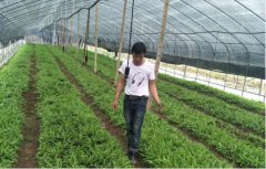 贫困户的“逆袭”