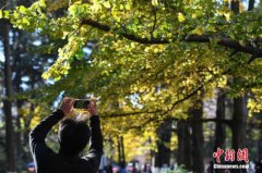 大学校园里的“00后” 有多少“委屈社交、无效社交”