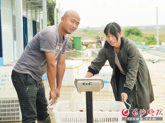 　　贺慧（右）、黄智（左）抬着一筐小龙虾过秤。两人研究生毕业后就扎根农村，将自己所学运用到田间地头，打造高质量农业模式。　　长沙晚报全媒体记者 朱华 摄