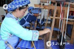 “锦绣计划”：开启镇宁民族文化惠民新模式