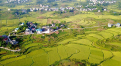 持续攻坚 岳池实施三大举措