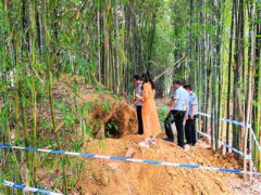 盗墓圈、诈当先 眉山警方打掉多个盗墓团伙