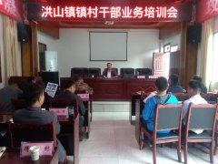 学习充电忙 洪山镇全覆盖培训镇村干部