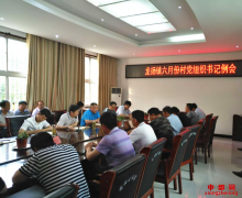 <b>安徽龙扬：召开村党组织书记例会</b>