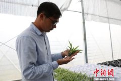 安徽霍邱：青年返乡创业助力家乡扶贫