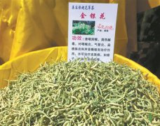 <b>夏天消暑去湿 试试“五花茶”</b>