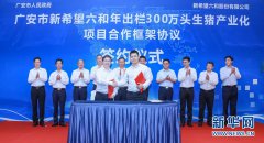 广安牵手新希望六和打造年出栏300万头生猪产业化项目