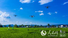 梁平：植保无人机防治水稻病虫害