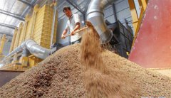 <b>湖南衡阳：洪水退去忙“双抢”</b>