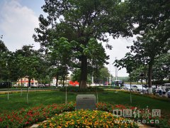 “焦裕禄精神”引领兰考脱贫致富奔小康