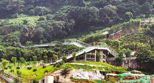 <b>重庆首条电动扶梯崖壁步道开放</b>