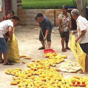 湖南：新宁县市场监督管理局驻村扶贫工作队真情帮扶暖人心