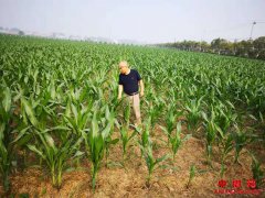 安徽西二铺乡：订单式培训致富新技能