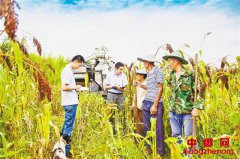 开展监督检查 促进脱贫攻坚