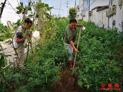 安徽五河县武桥镇：扶贫通水水连心
