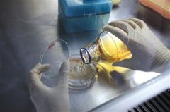 夏季吃冰淇淋小贴士：购买时要注意包装是否破损