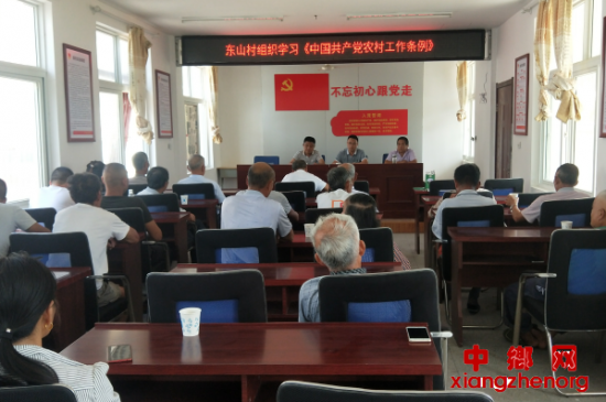 安徽棠溪镇东山村：集中学习《中国共产党农村工作条例》