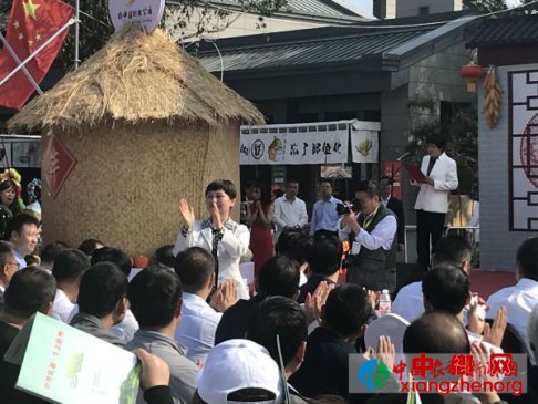 陇县农产品扮靓农民丰收节