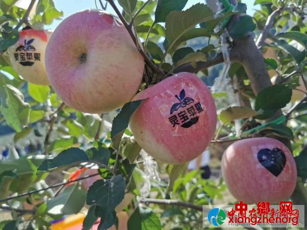 908a753a1d2498ee919518b54ce9001