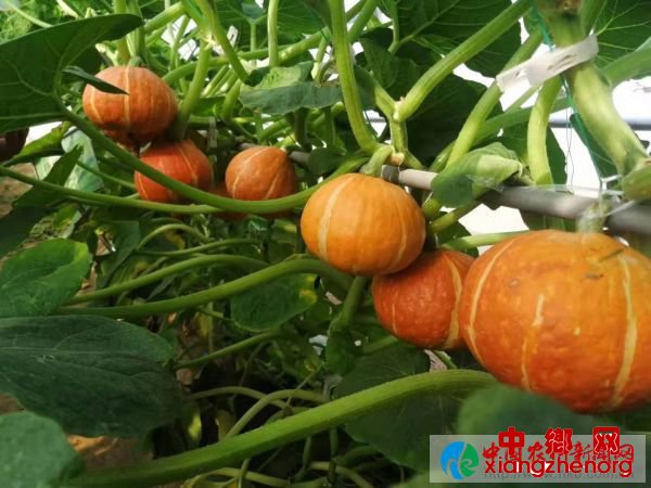 fab5d487b8b4565c7e477da402a5a30