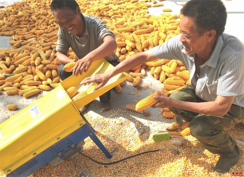 山东郯城：“小农机”解除农民“大烦恼”