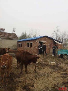 <b>勤劳，让脱贫致富道路越走越远</b>