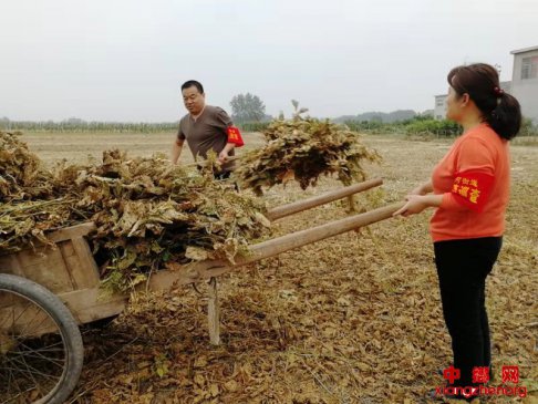 <b>安徽：汴河街道开展“不忘初心、牢记使命，党员义务清秸秆”主题党日活动</b>