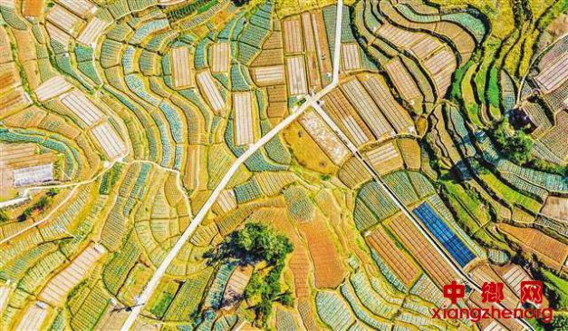 秋播秋种正当时