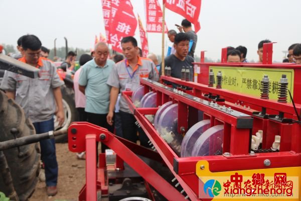 金乡玛丽亚 (50)