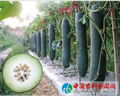 微信图片_201910120859106